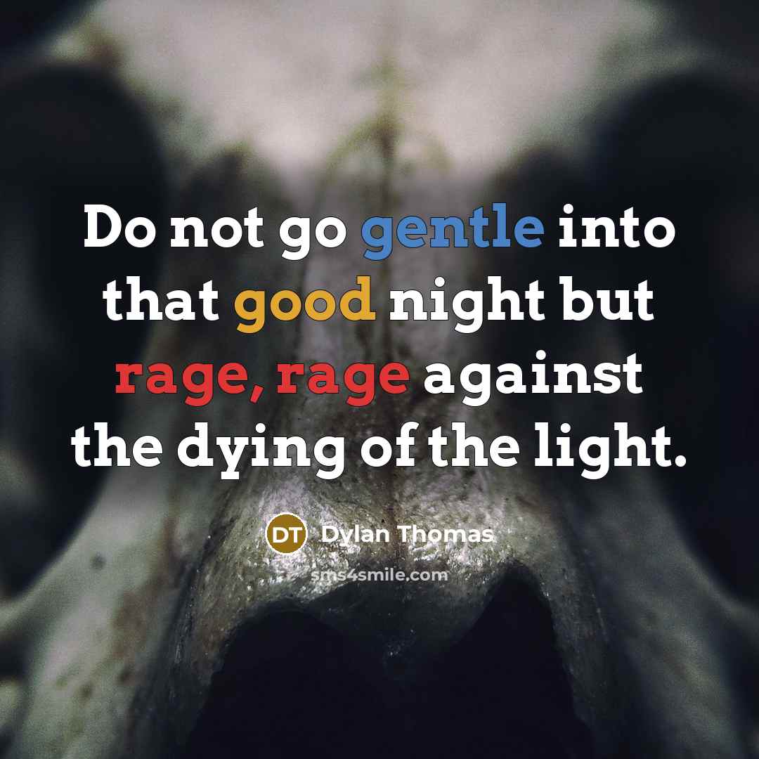 “Do not go gentle into that good night but rage, rage against the dying of the light.” quote by Dylan Thomas