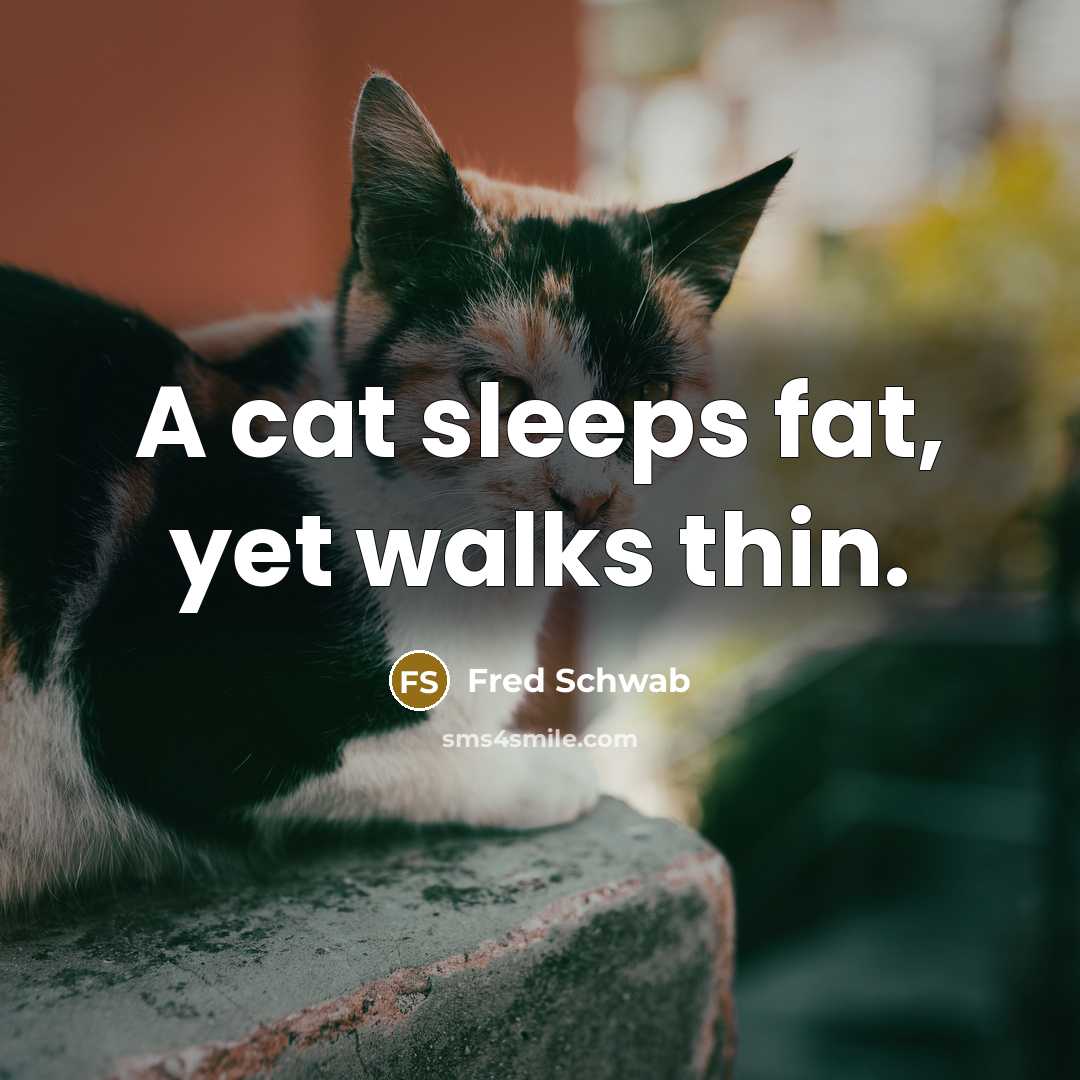 “A cat sleeps fat, yet walks thin.” quote by Fred Schwab