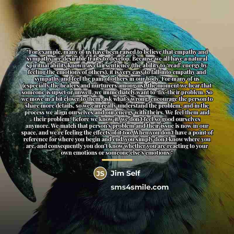 “For example, many of us have been raised to believe that empathy and sympathy are desirable traits to develop. Because we all have a natural spiritual ability known as clairsentience (the ability to ‘read’ energy by feeling the emotions of others), it is very easy to fall into empathy and sympathy…” quote by Jim Self