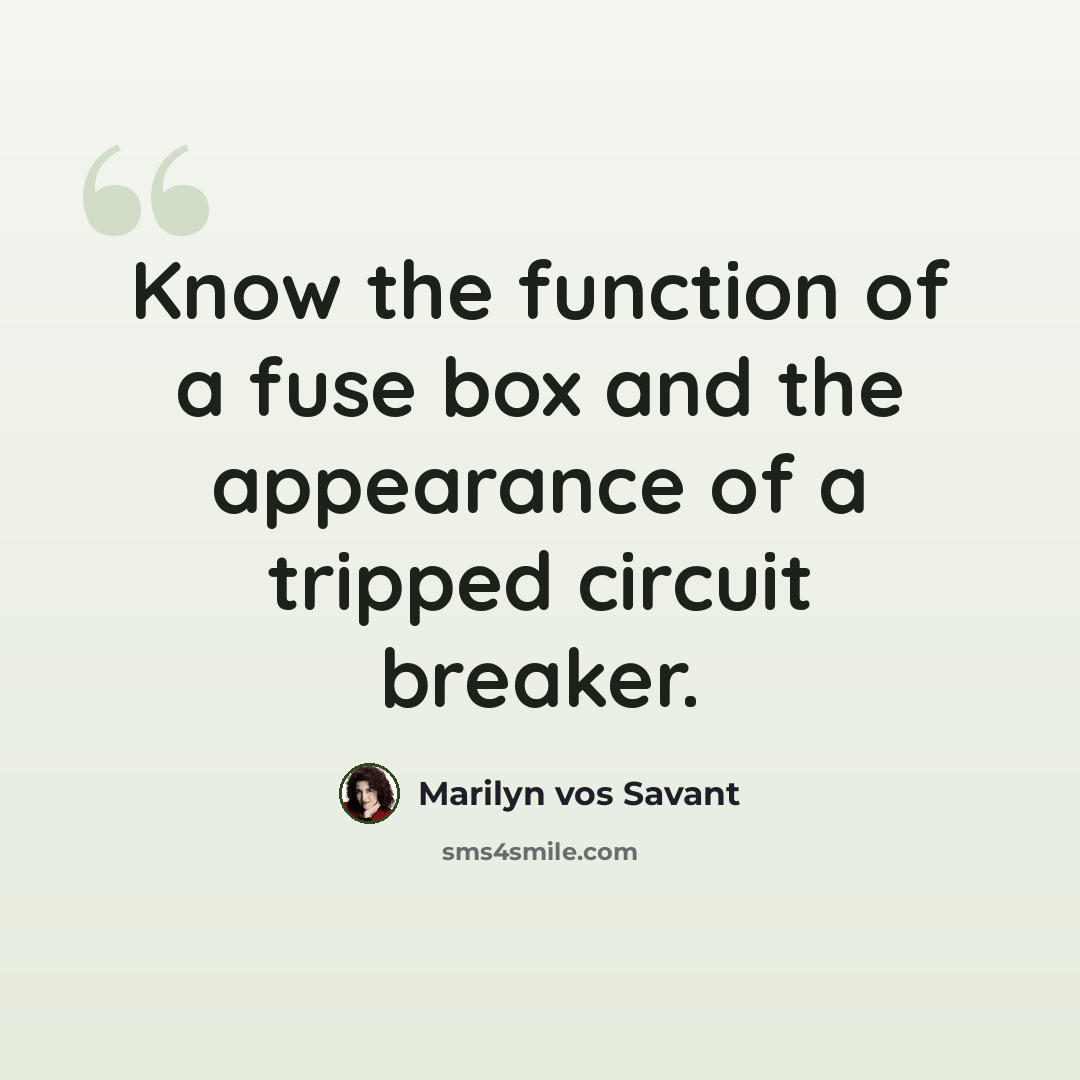 “Know the function of a fuse box and the appearance of a tripped circuit breaker.” quote by Marilyn vos Savant