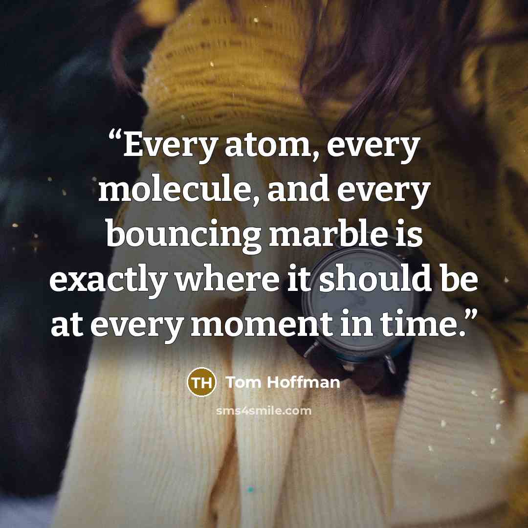 “Every atom, every molecule, and every bouncing marble is exactly where it should be at every moment in time.” quote by Tom Hoffman