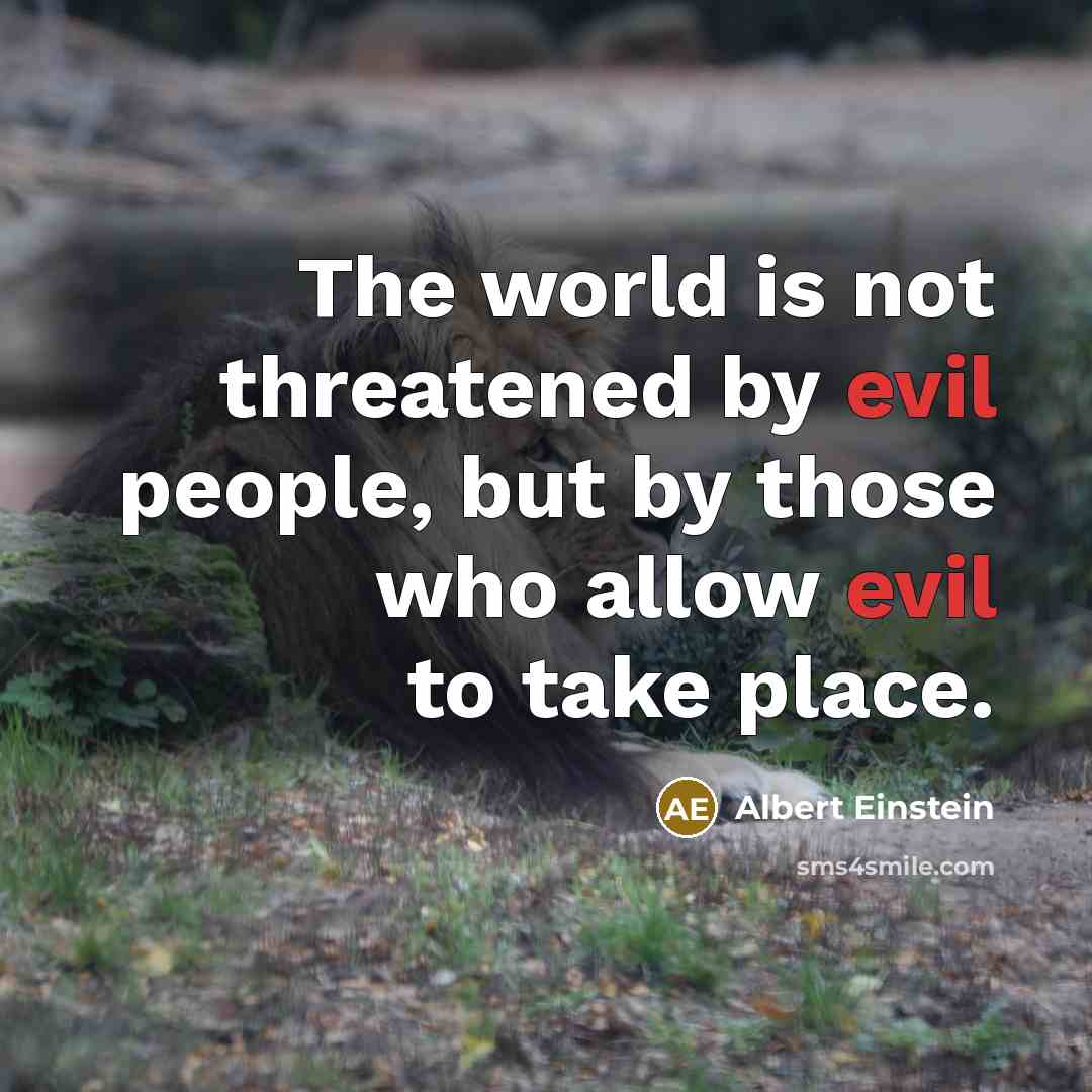 “The world is not threatened by evil people, but by those who allow evil to take place.” quote by Albert Einstein