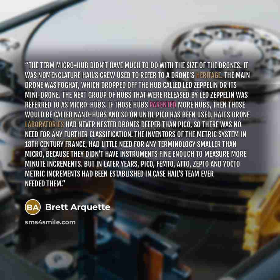 “The term micro-hub didn't have much to do with the size of the drones. It was nomenclature Hail's crew used to refer to a drone's heritage. The main drone was Foghat, which dropped off the hub called Led Zeppelin or its mini-drone. The next group of hubs that were released by Led Zeppelin was…” quote by Brett Arquette