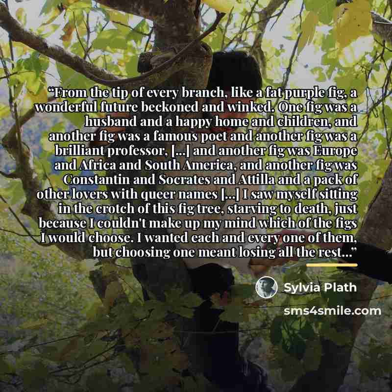 “From the tip of every branch, like a fat purple fig, a wonderful future beckoned and winked. One fig was a husband and a happy home and children, and another fig was a famous poet and another fig was a brilliant professor, [...] and another fig was Europe and Africa and South America, and another…” quote by Sylvia Plath
