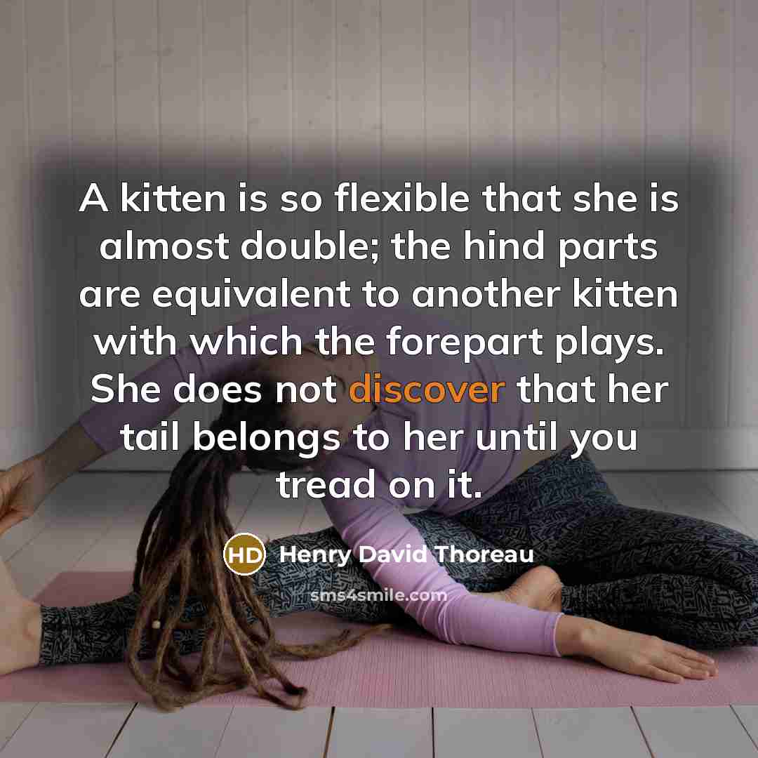 “A kitten is so flexible that she is almost double; the hind parts are equivalent to another kitten with which the forepart plays. She does not discover that her tail belongs to her until you tread on it.” quote by Henry David Thoreau