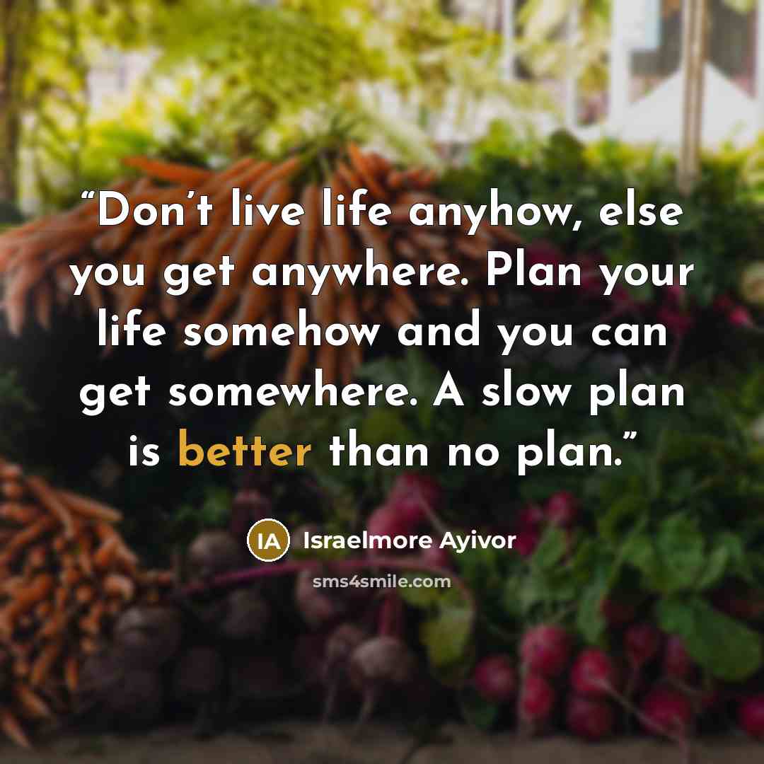“Don’t live life anyhow, else you get anywhere. Plan your life somehow and you can get somewhere. A slow plan is better than no plan.” quote by Israelmore Ayivor