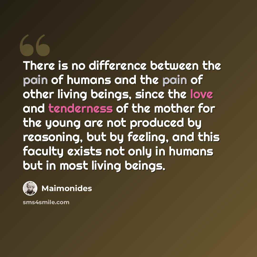 “There is no difference between the pain of humans and the pain of other living beings, since the love and tenderness of the mother for the young are not produced by reasoning, but by feeling, and this faculty exists not only in humans but in most living beings.” quote by Maimonides