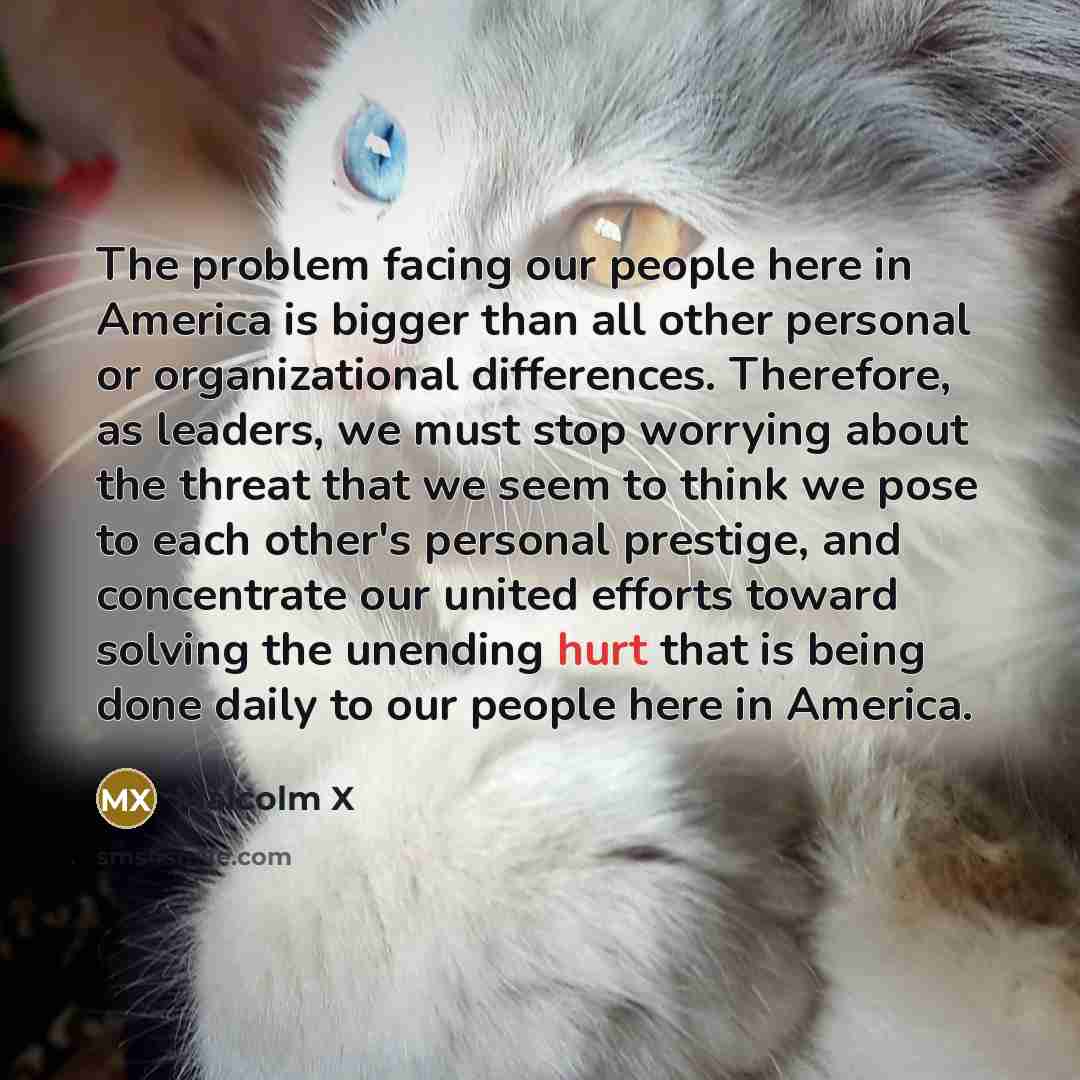 “The problem facing our people here in America is bigger than all other personal or organizational differences. Therefore, as leaders, we must stop worrying about the threat that we seem to think we pose to each other's personal prestige, and concentrate our united efforts toward solving the…” quote by Malcolm X