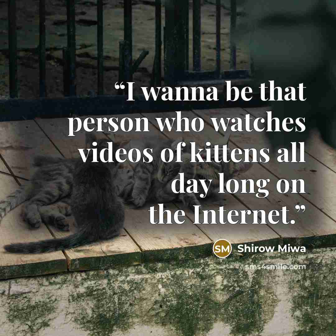 “I wanna be that person who watches videos of kittens all day long on the Internet.” quote by Shirow Miwa