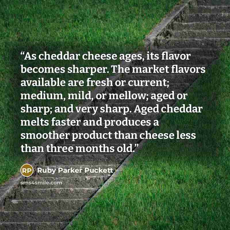 “As cheddar cheese ages, its flavor becomes sharper. The market flavors available are fresh or current; medium, mild, or mellow; aged or sharp; and very sharp. Aged cheddar melts faster and produces a smoother product than cheese less than three months old.” quote by Ruby Parker Puckett