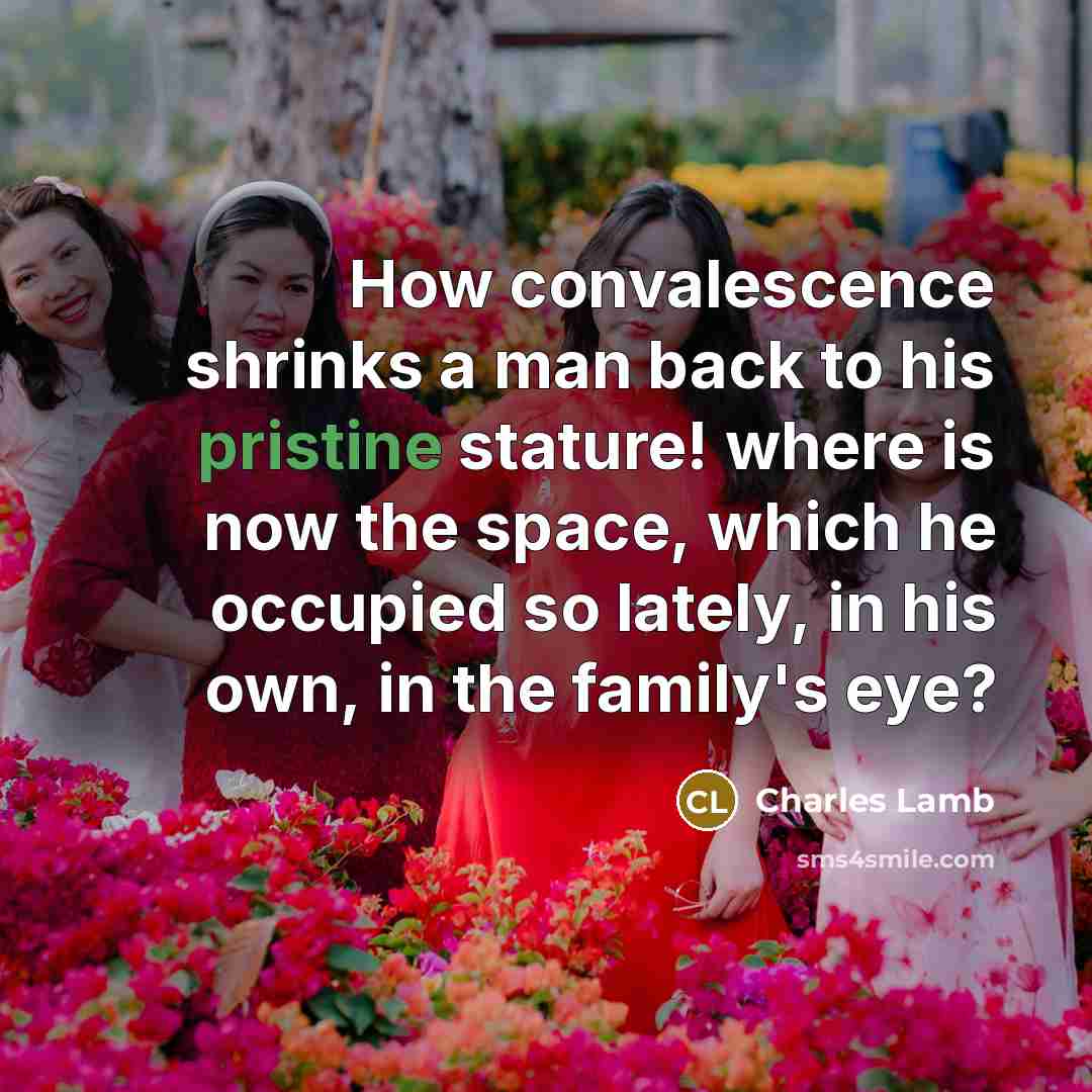 “How convalescence shrinks a man back to his pristine stature! where is now the space, which he occupied so lately, in his own, in the family's eye?” quote by Charles Lamb
