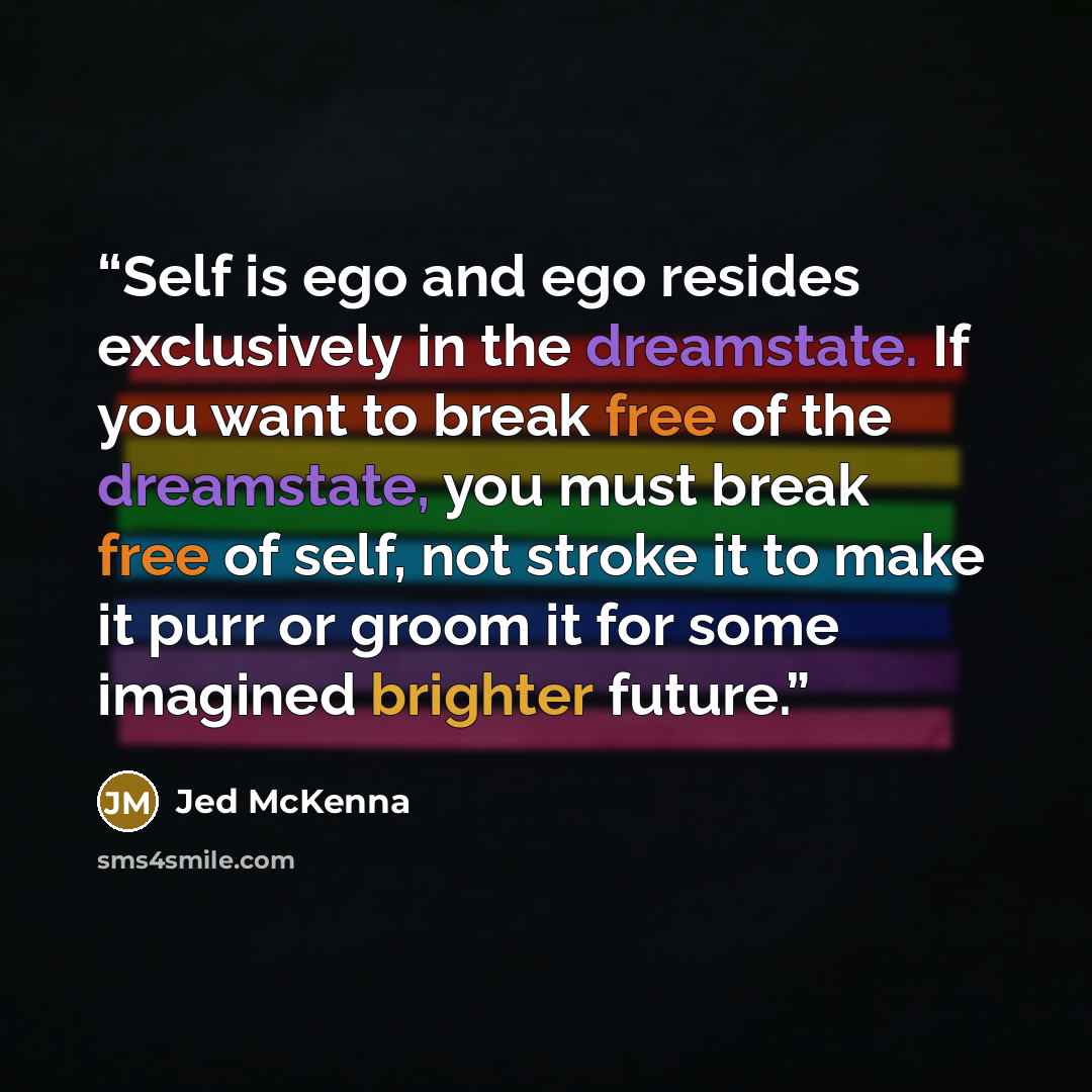 “Self is ego and ego resides exclusively in the dreamstate. If you want to break free of the dreamstate, you must break free of self, not stroke it to make it purr or groom it for some imagined brighter future.” quote by Jed McKenna