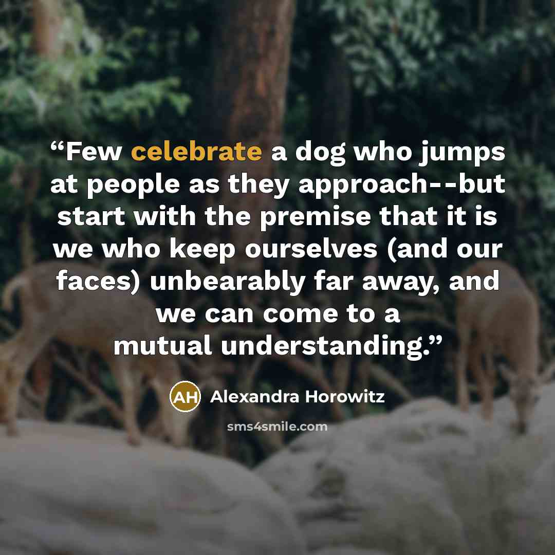 “Few celebrate a dog who jumps at people as they approach--but start with the premise that it is we who keep ourselves (and our faces) unbearably far away, and we can come to a mutual understanding.” quote by Alexandra Horowitz
