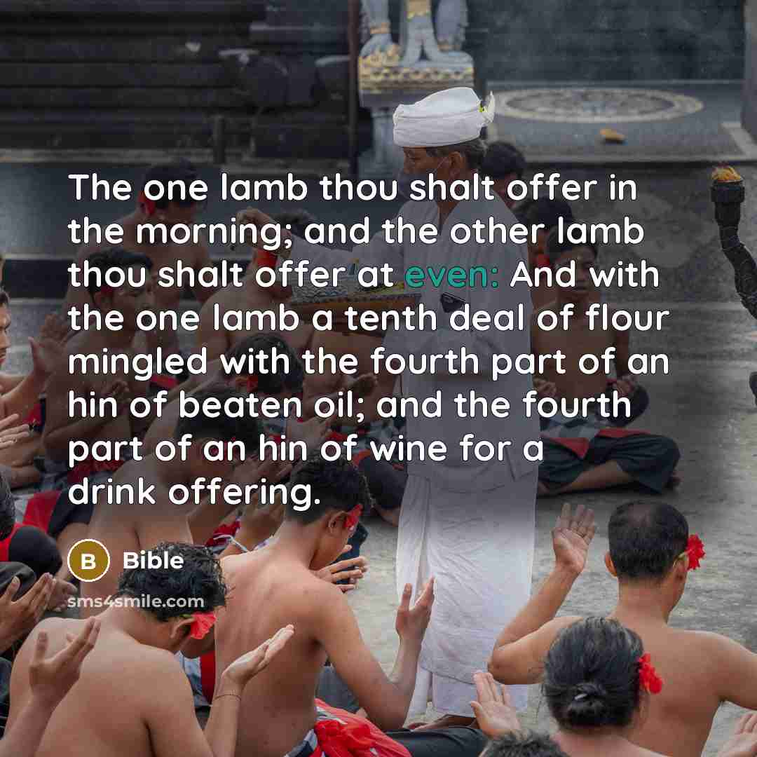 “The one lamb thou shalt offer in the morning; and the other lamb thou shalt offer at even: And with the one lamb a tenth deal of flour mingled with the fourth part of an hin of beaten oil; and the fourth part of an hin of wine for a drink offering.” quote by Bible