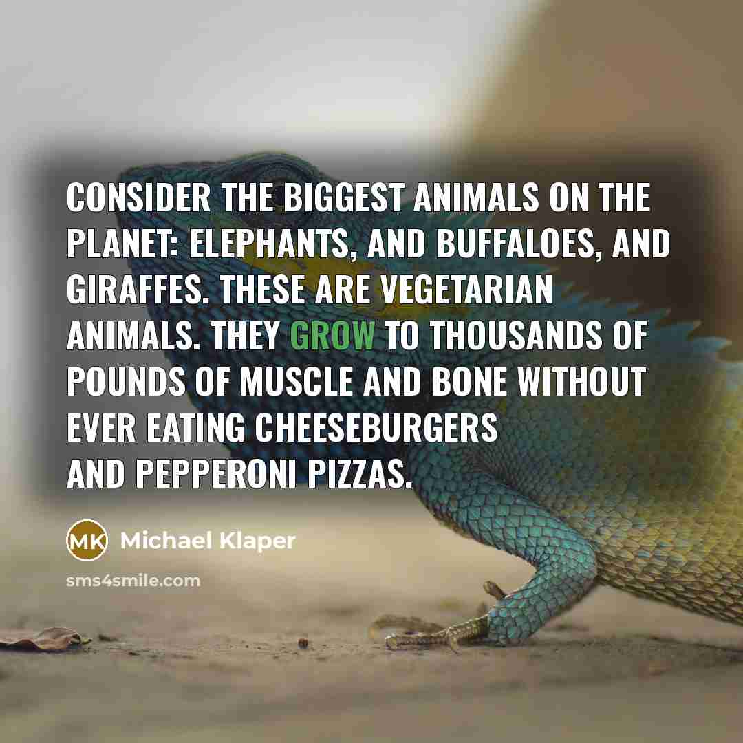 “Consider the biggest animals on the planet: elephants, and buffaloes, and giraffes. These are vegetarian animals. They grow to thousands of pounds of muscle and bone without ever eating cheeseburgers and pepperoni pizzas.” quote by Michael Klaper