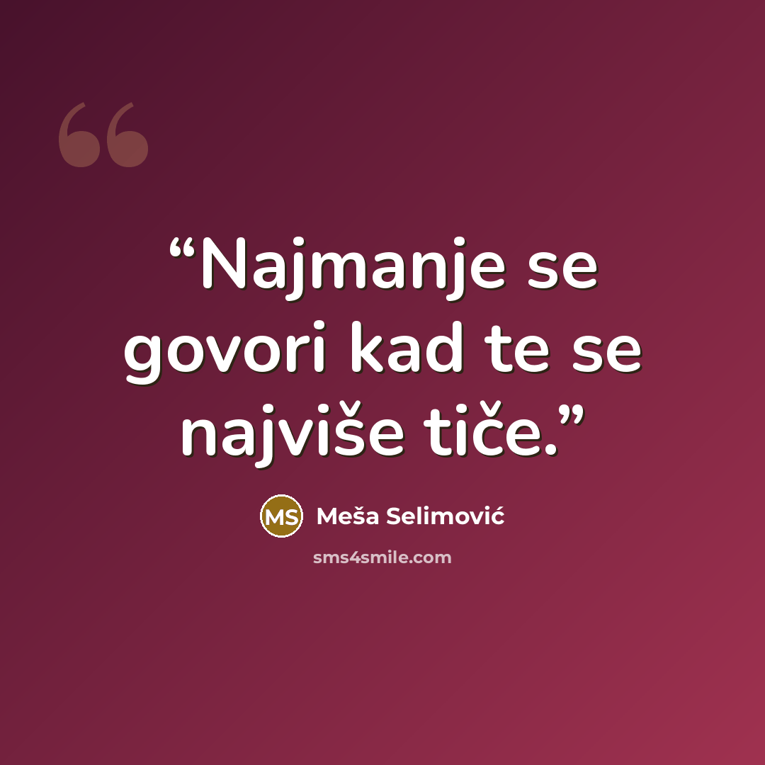 “Najmanje se govori kad te se najviše tiče.” quote by Meša Selimović