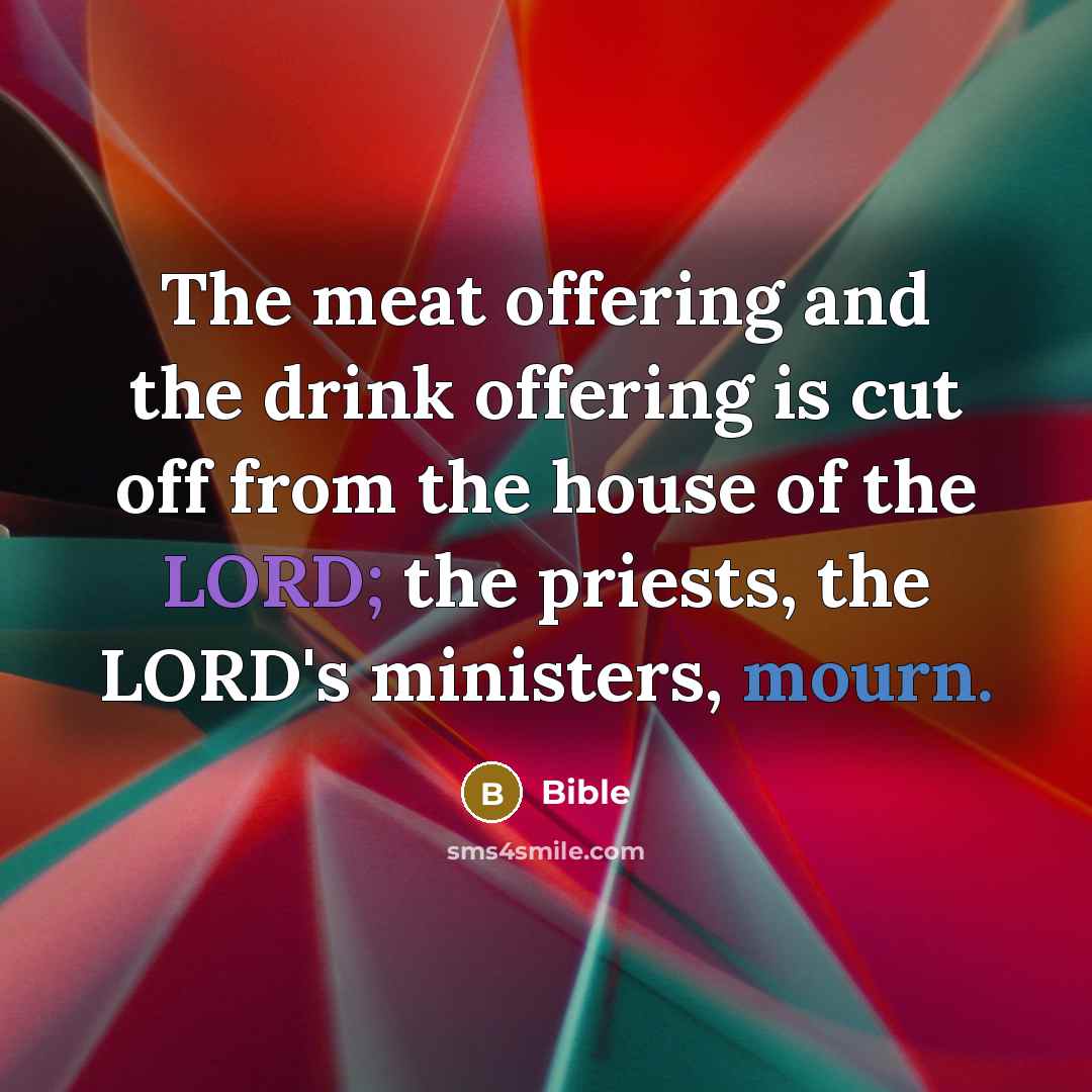 “The meat offering and the drink offering is cut off from the house of the LORD; the priests, the LORD's ministers, mourn.” quote by Bible