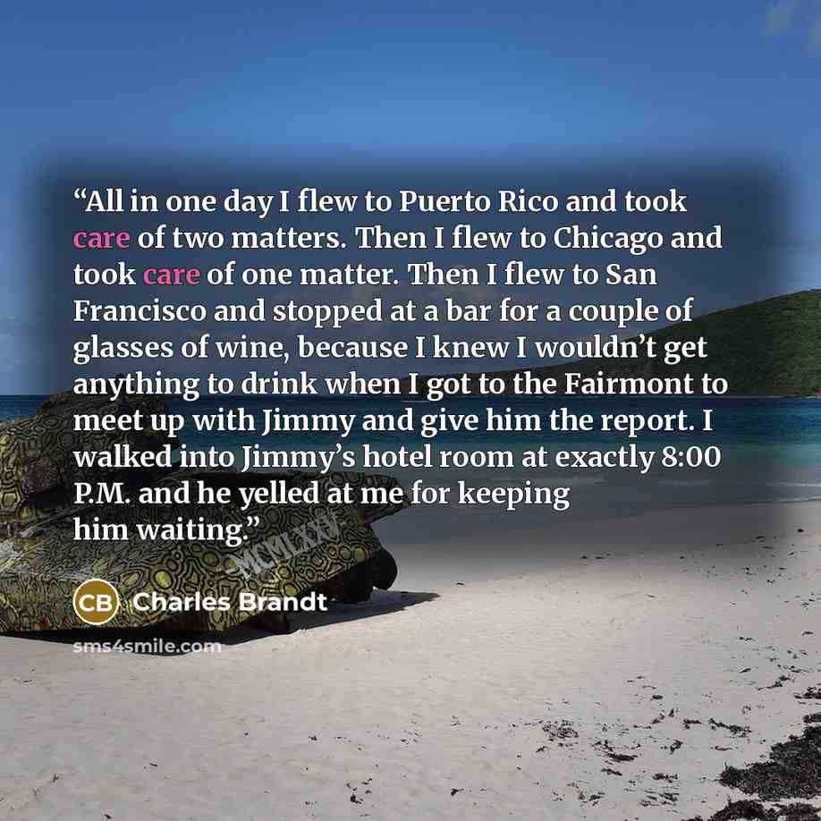 “All in one day I flew to Puerto Rico and took care of two matters. Then I flew to Chicago and took care of one matter. Then I flew to San Francisco and stopped at a bar for a couple of glasses of wine, because I knew I wouldn’t get anything to drink when I got to the Fairmont to meet up with Jimmy…” quote by Charles Brandt
