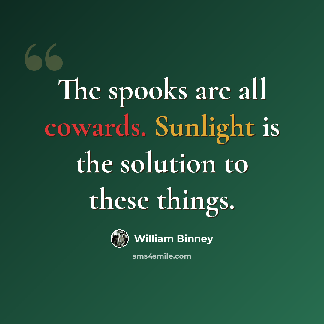 “The spooks are all cowards. Sunlight is the solution to these things.” quote by William Binney