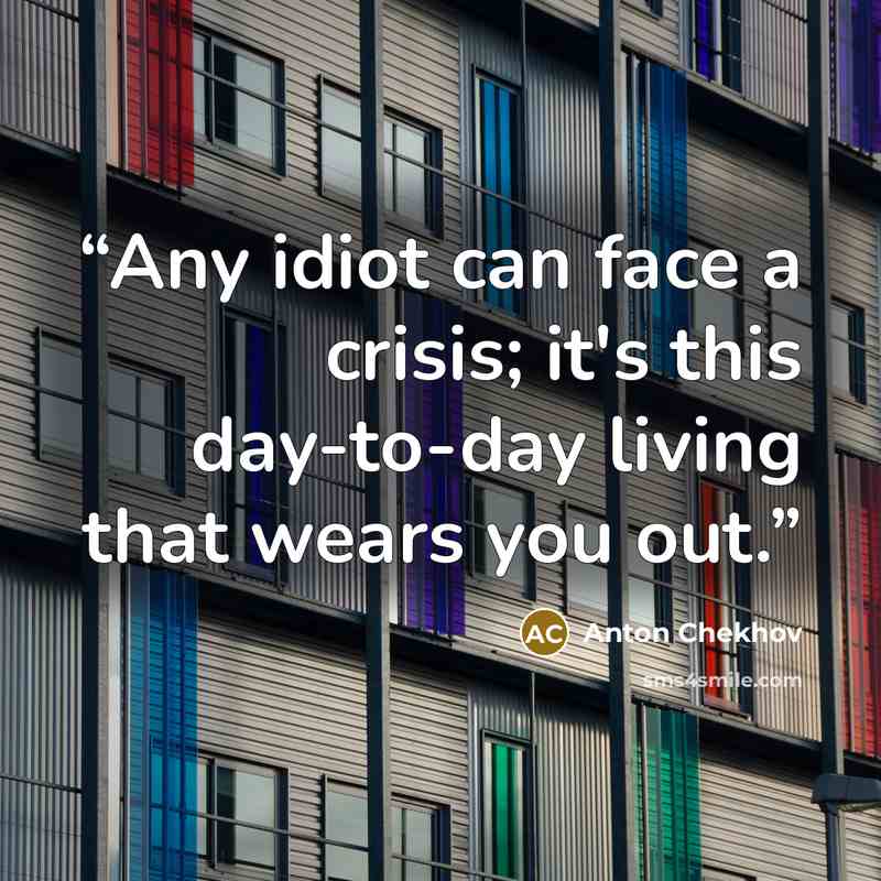 “Any idiot can face a crisis; it's this day-to-day living that wears you out.” quote by Anton Chekhov