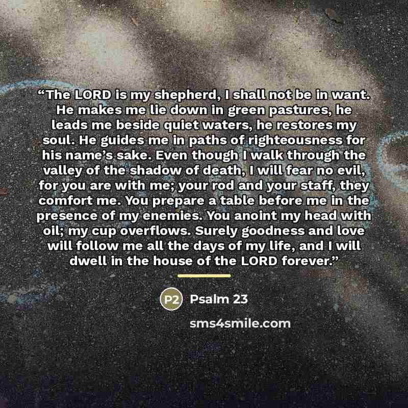 “The LORD is my shepherd, I shall not be in want. He makes me lie down in green pastures, he leads me beside quiet waters, he restores my soul. He guides me in paths of righteousness for his name’s sake. Even though I walk through the valley of the shadow of death, I will fear no evil, for you are…” quote by Psalm 23