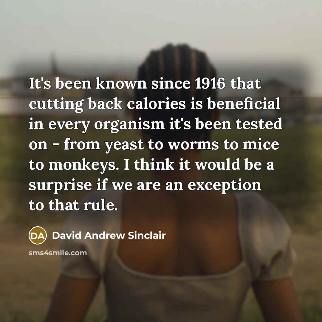 “It's been known since 1916 that cutting back calories is beneficial in every organism it's been tested on - from yeast to worms to mice to monkeys. I think it would be a surprise if we are an exception to that rule.” quote by David Andrew Sinclair