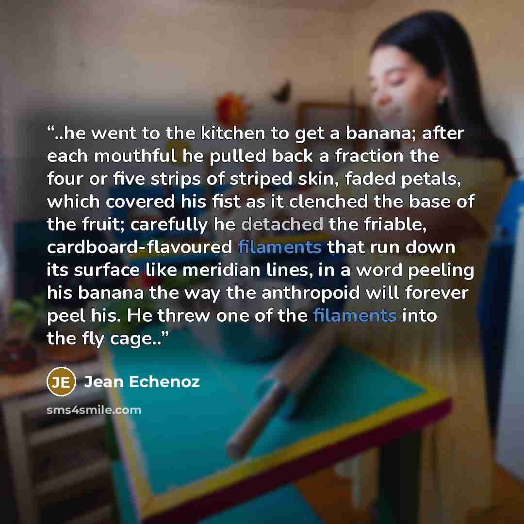 “..he went to the kitchen to get a banana; after each mouthful he pulled back a fraction the four or five strips of striped skin, faded petals, which covered his fist as it clenched the base of the fruit; carefully he detached the friable, cardboard-flavoured filaments that run down its surface…” quote by Jean Echenoz