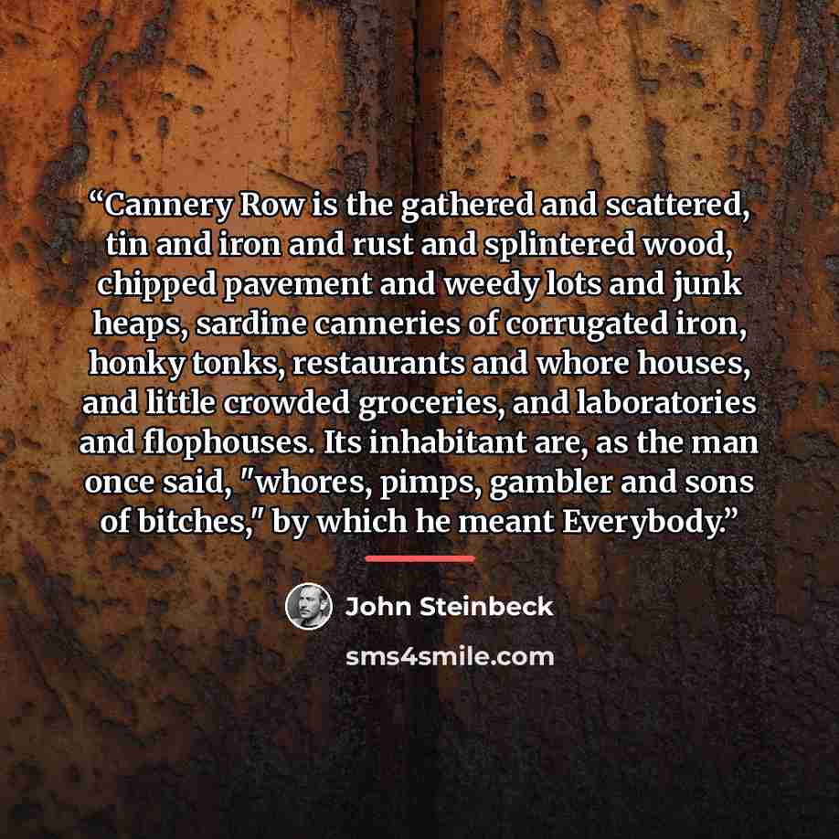 “Cannery Row is the gathered and scattered, tin and iron and rust and splintered wood, chipped pavement and weedy lots and junk heaps, sardine canneries of corrugated iron, honky tonks, restaurants and whore houses, and little crowded groceries, and laboratories and flophouses. Its inhabitant are…” quote by John Steinbeck
