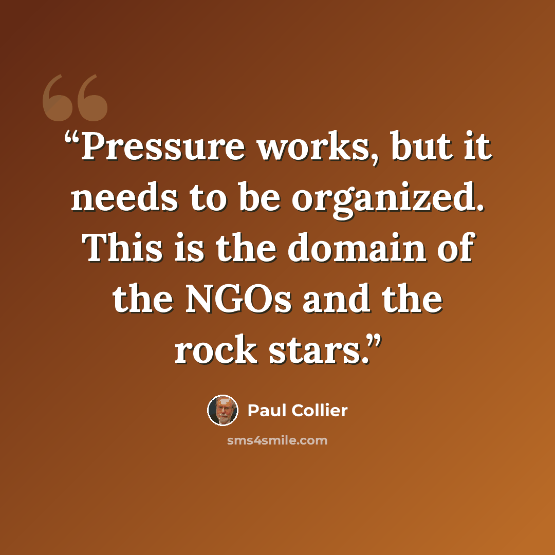 “Pressure works, but it needs to be organized. This is the domain of the NGOs and the rock stars.” quote by Paul Collier