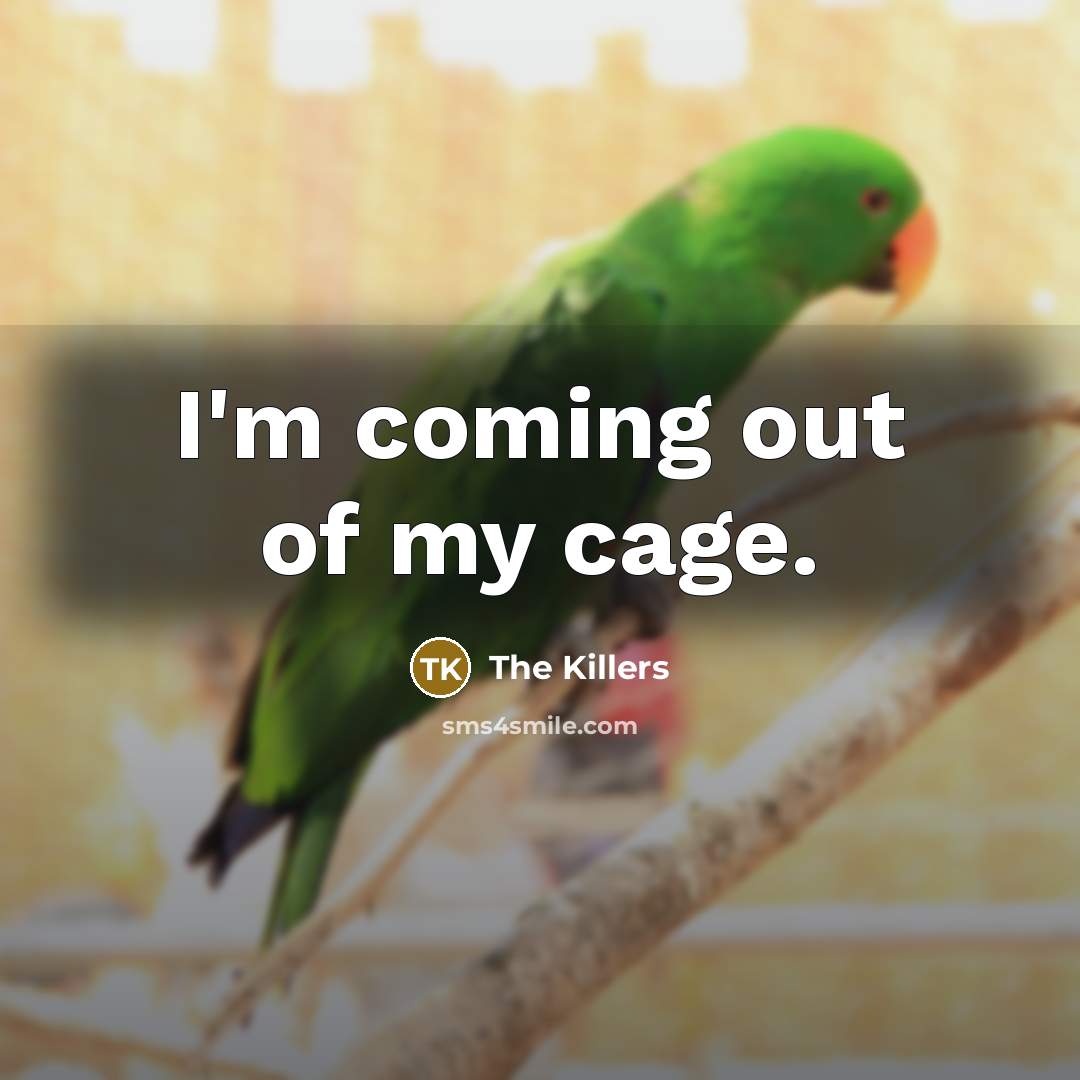 “I'm coming out of my cage.” quote by The Killers