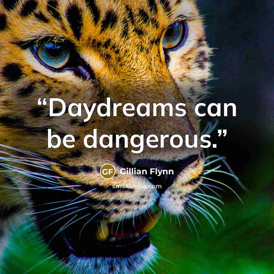 “Daydreams can be dangerous.” quote by Gillian Flynn