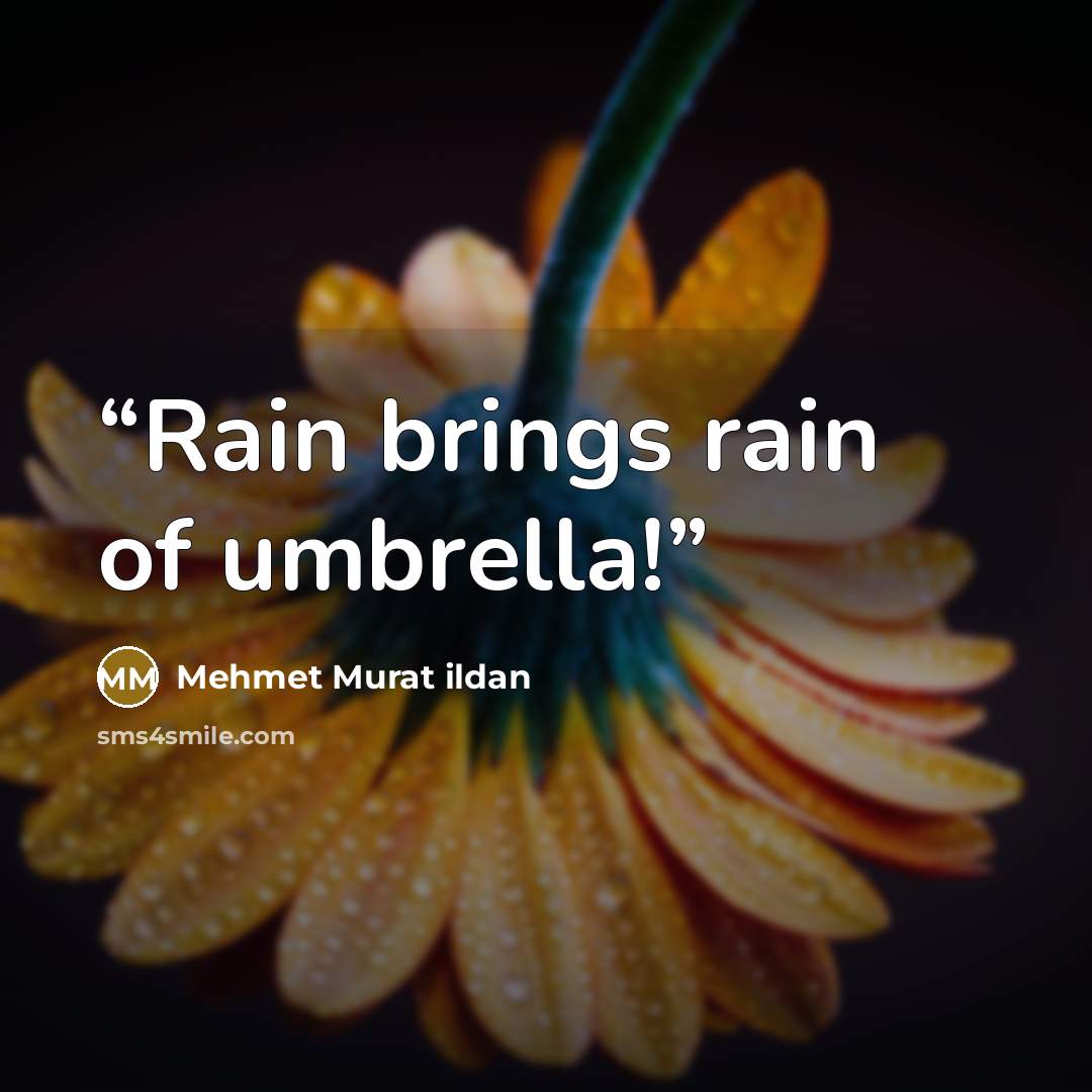 “Rain brings rain of umbrella!” quote by Mehmet Murat ildan