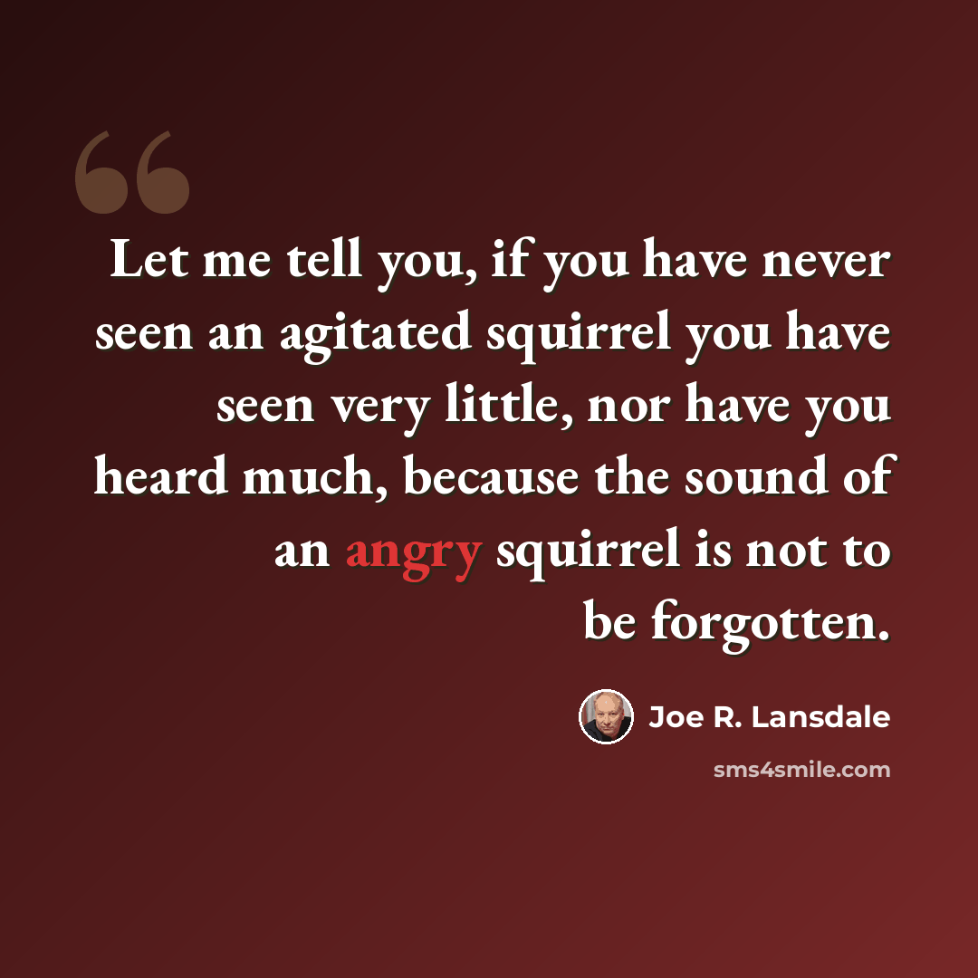 “Let me tell you, if you have never seen an agitated squirrel you have seen very little, nor have you heard much, because the sound of an angry squirrel is not to be forgotten.” quote by Joe R. Lansdale