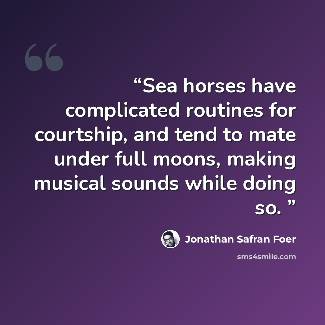 “Sea horses have complicated routines for courtship, and tend to mate under full moons, making musical sounds while doing so.” quote by Jonathan Safran Foer