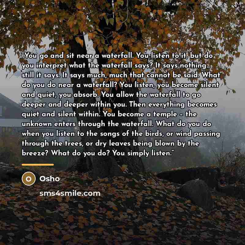 “You go and sit near a waterfall. You listen to it, but do you interpret what the waterfall says? It says nothing... still it says. It says much, much that cannot be said. What do you do near a waterfall? You listen, you become silent and quiet, you absorb. You allow the waterfall to go deeper and…” quote by Osho
