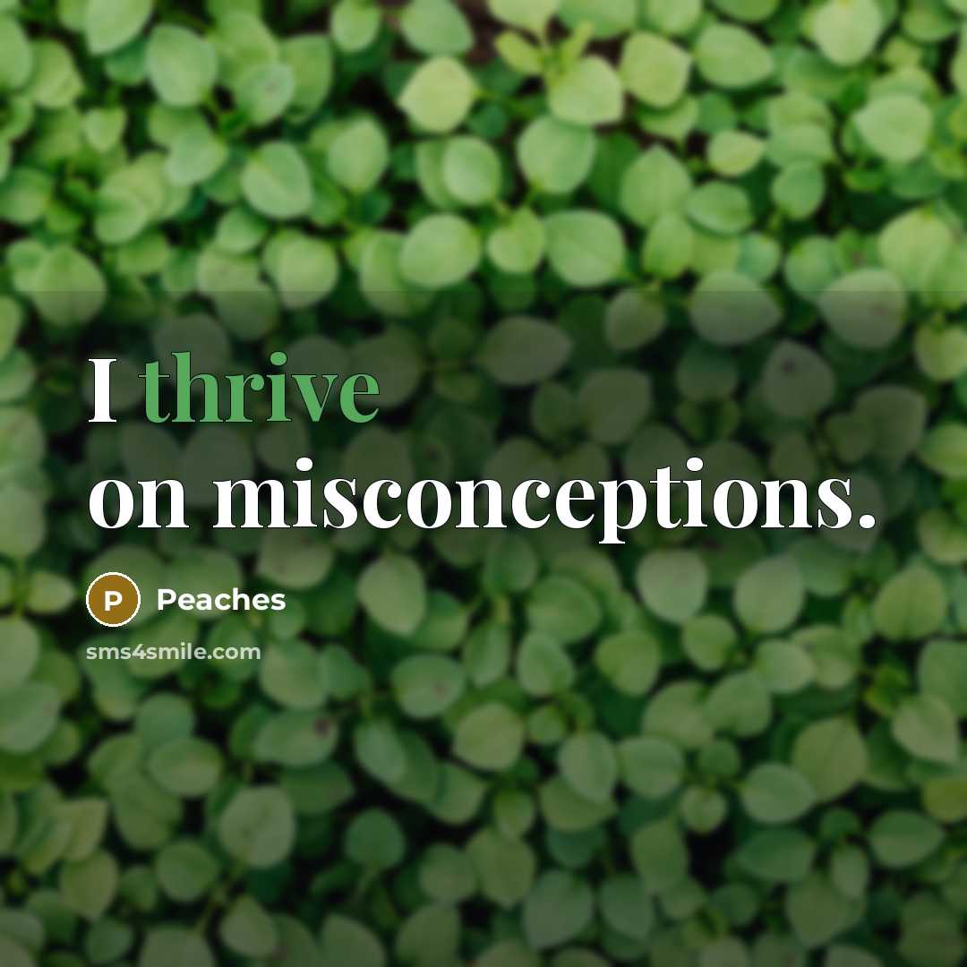 “I thrive on misconceptions.” quote by Peaches