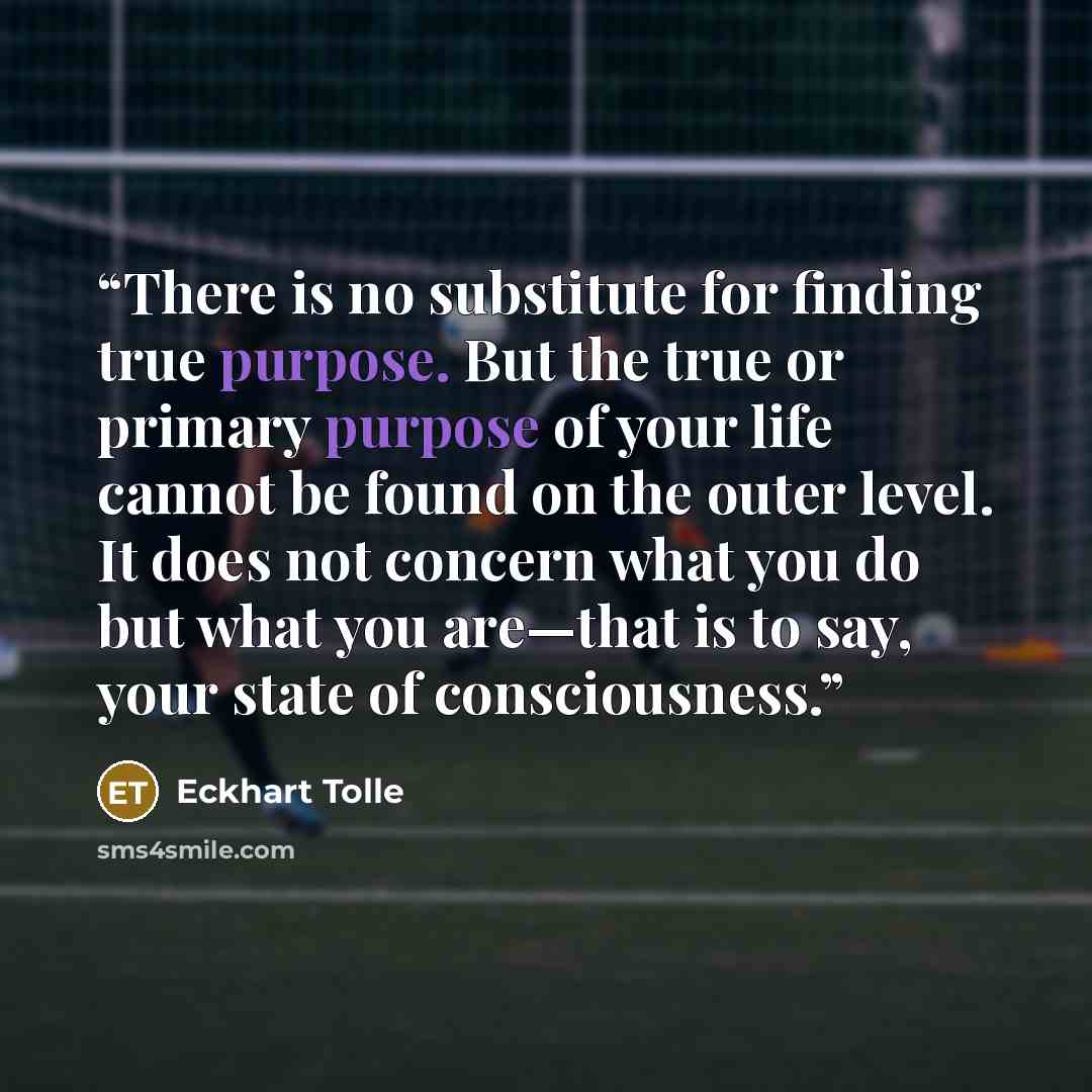 “There is no substitute for finding true purpose. But the true or primary purpose of your life cannot be found on the outer level. It does not concern what you do but what you are—that is to say, your state of consciousness.” quote by Eckhart Tolle