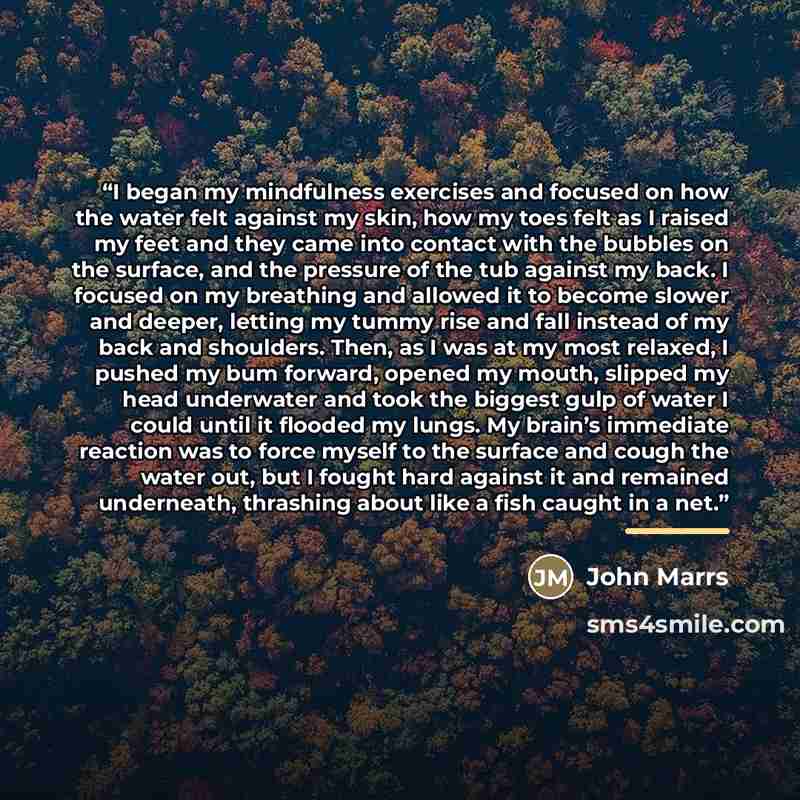 “I began my mindfulness exercises and focused on how the water felt against my skin, how my toes felt as I raised my feet and they came into contact with the bubbles on the surface, and the pressure of the tub against my back. I focused on my breathing and allowed it to become slower and deeper…” quote by John Marrs
