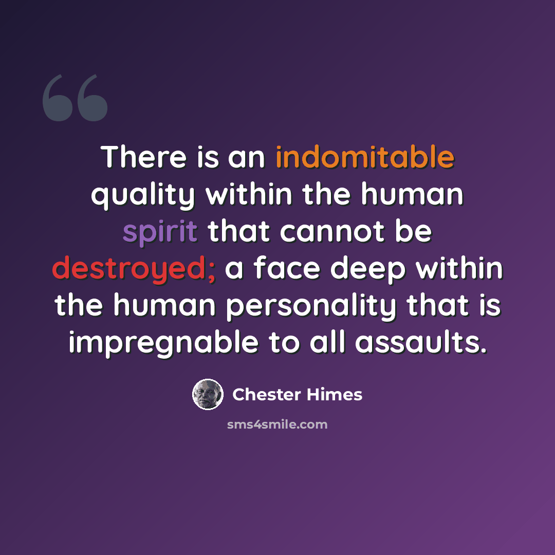 “There is an indomitable quality within the human spirit that cannot be destroyed; a face deep within the human personality that is impregnable to all assaults.” quote by Chester Himes