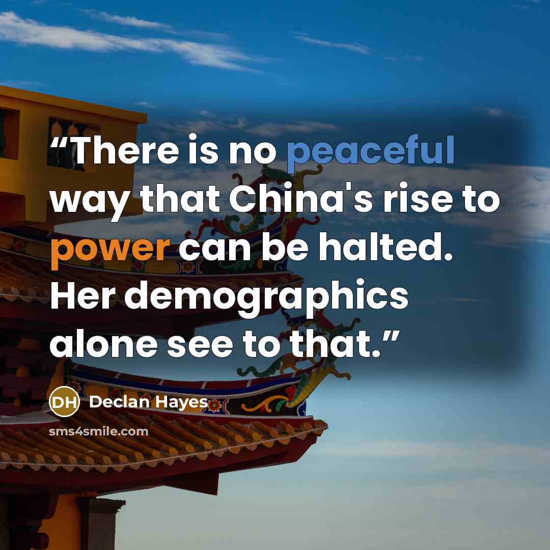 “There is no peaceful way that China's rise to power can be halted. Her demographics alone see to that.” quote by Declan Hayes