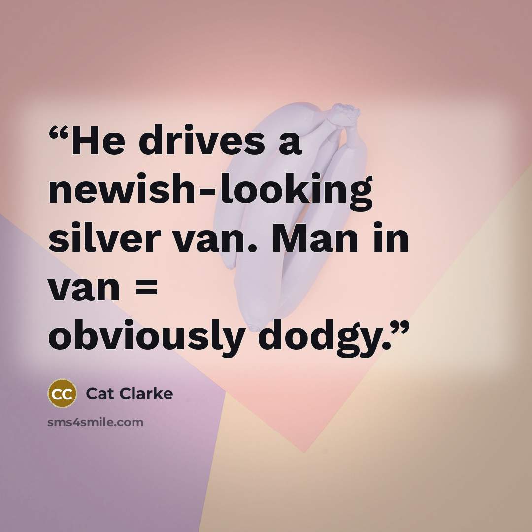 “He drives a newish-looking silver van. Man in van = obviously dodgy.” quote by Cat Clarke