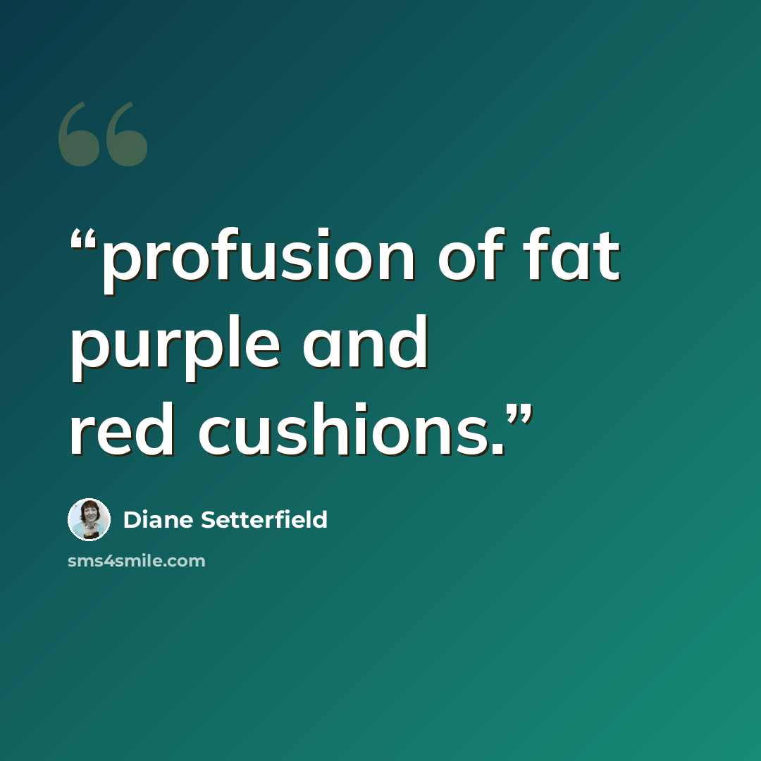 “profusion of fat purple and red cushions.” quote by Diane Setterfield