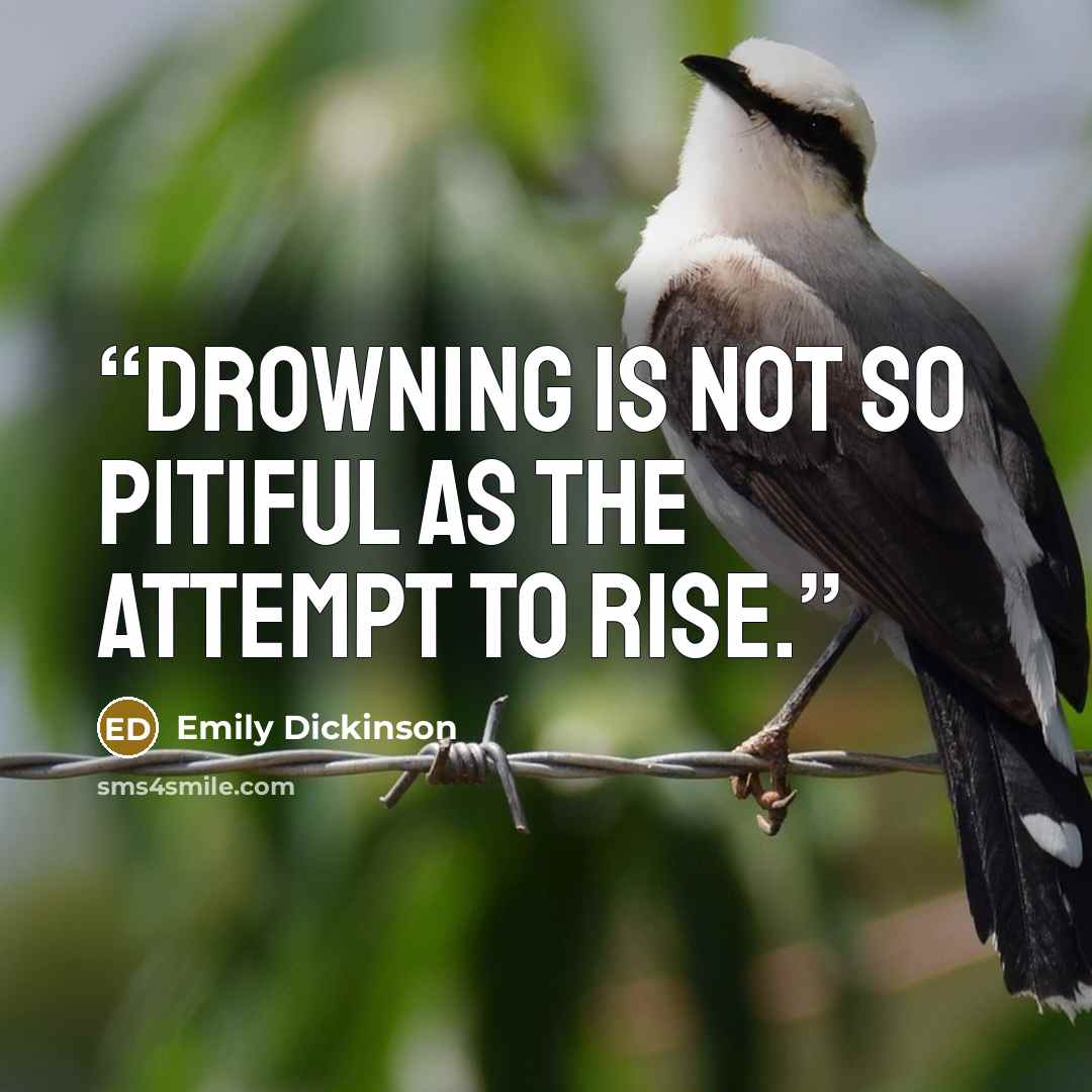 “Drowning is not so pitiful as the attempt to rise.” quote by Emily Dickinson