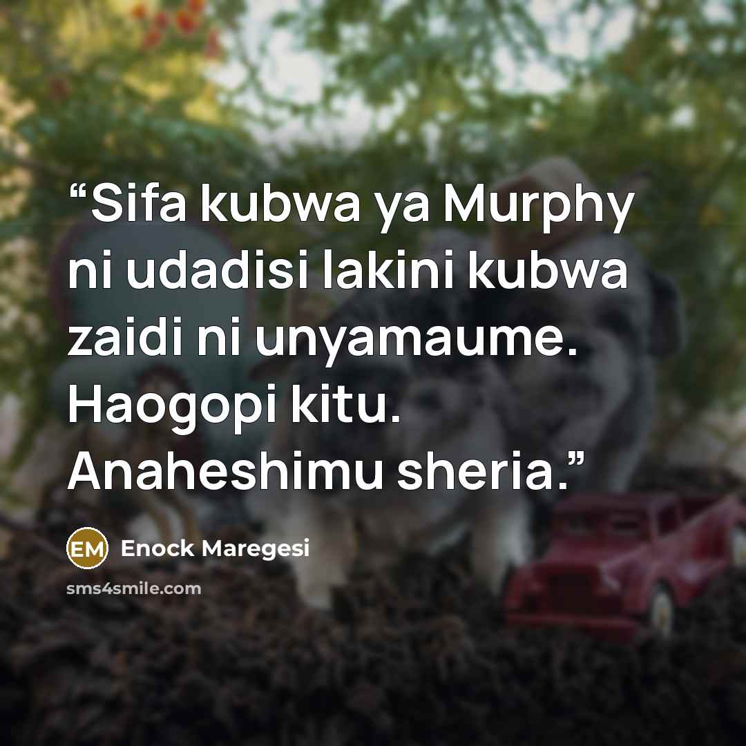 “Sifa kubwa ya Murphy ni udadisi lakini kubwa zaidi ni unyamaume. Haogopi kitu. Anaheshimu sheria.” quote by Enock Maregesi