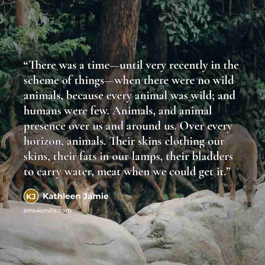 “There was a time—until very recently in the scheme of things—when there were no wild animals, because every animal was wild; and humans were few. Animals, and animal presence over us and around us. Over every horizon, animals. Their skins clothing our skins, their fats in our lamps, their bladders…” quote by Kathleen Jamie
