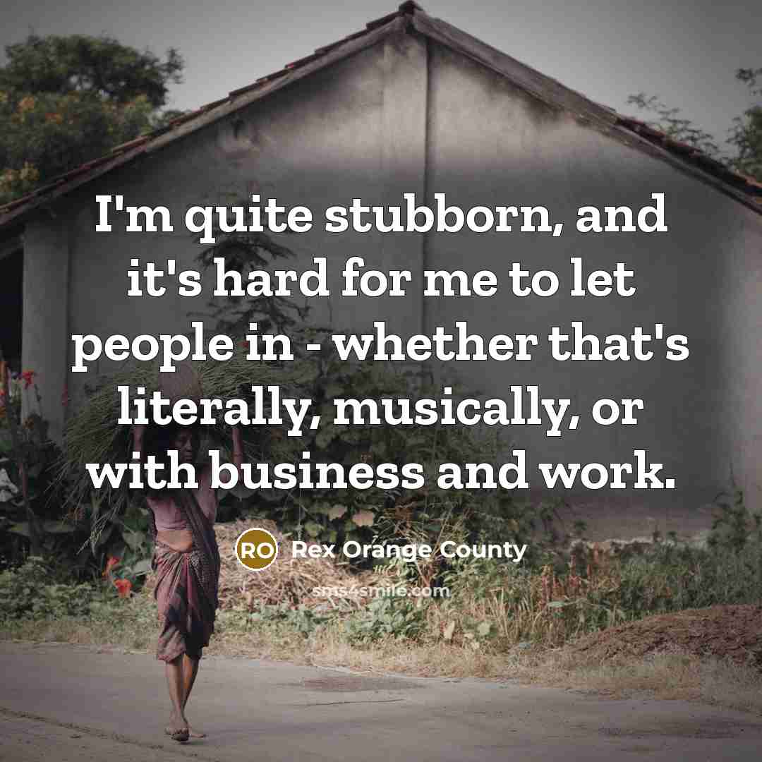 “I'm quite stubborn, and it's hard for me to let people in - whether that's literally, musically, or with business and work.” quote by Rex Orange County