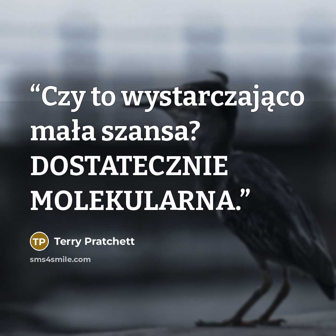 “Czy to wystarczająco mała szansa? DOSTATECZNIE MOLEKULARNA.” quote by Terry Pratchett