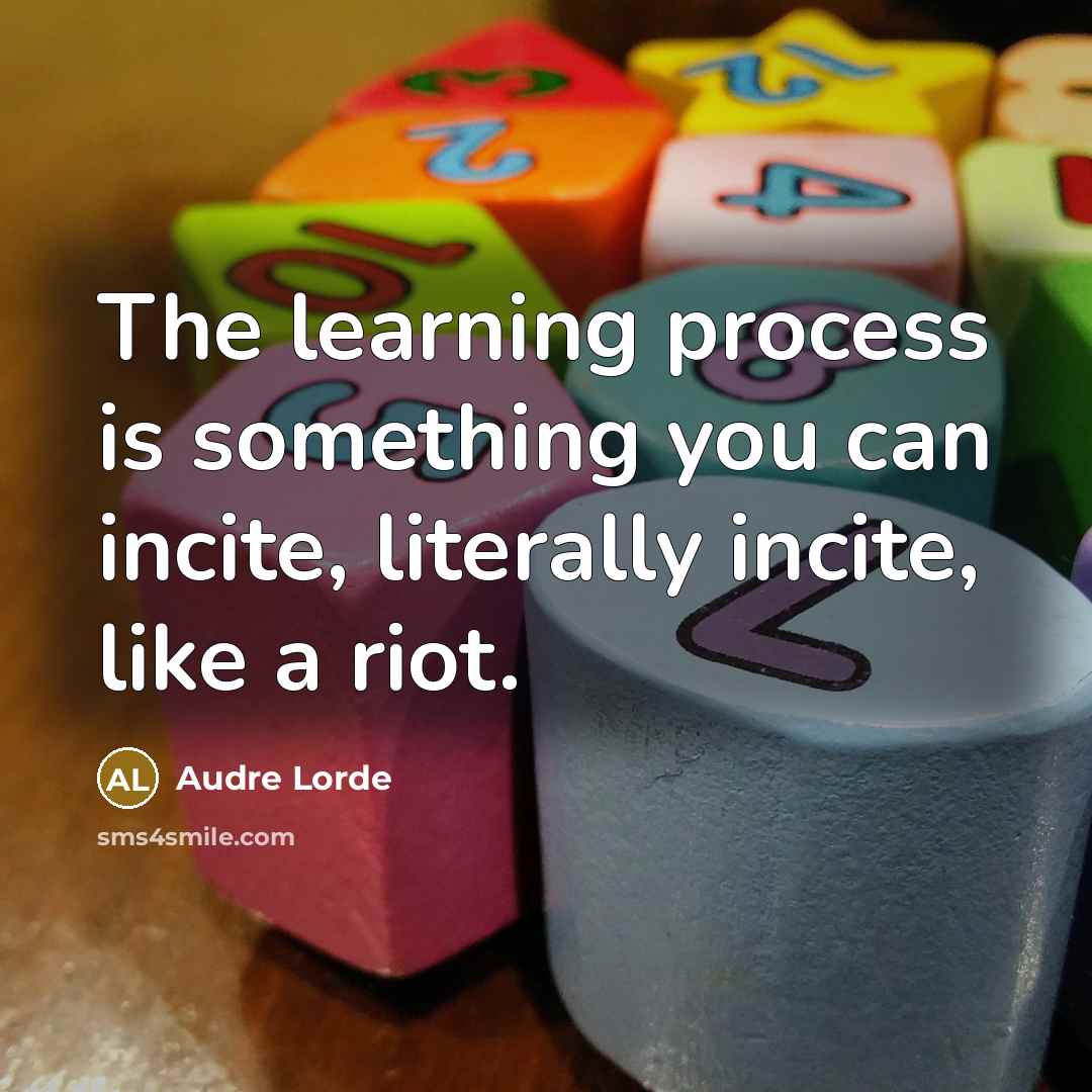 “The learning process is something you can incite, literally incite, like a riot.” quote by Audre Lorde