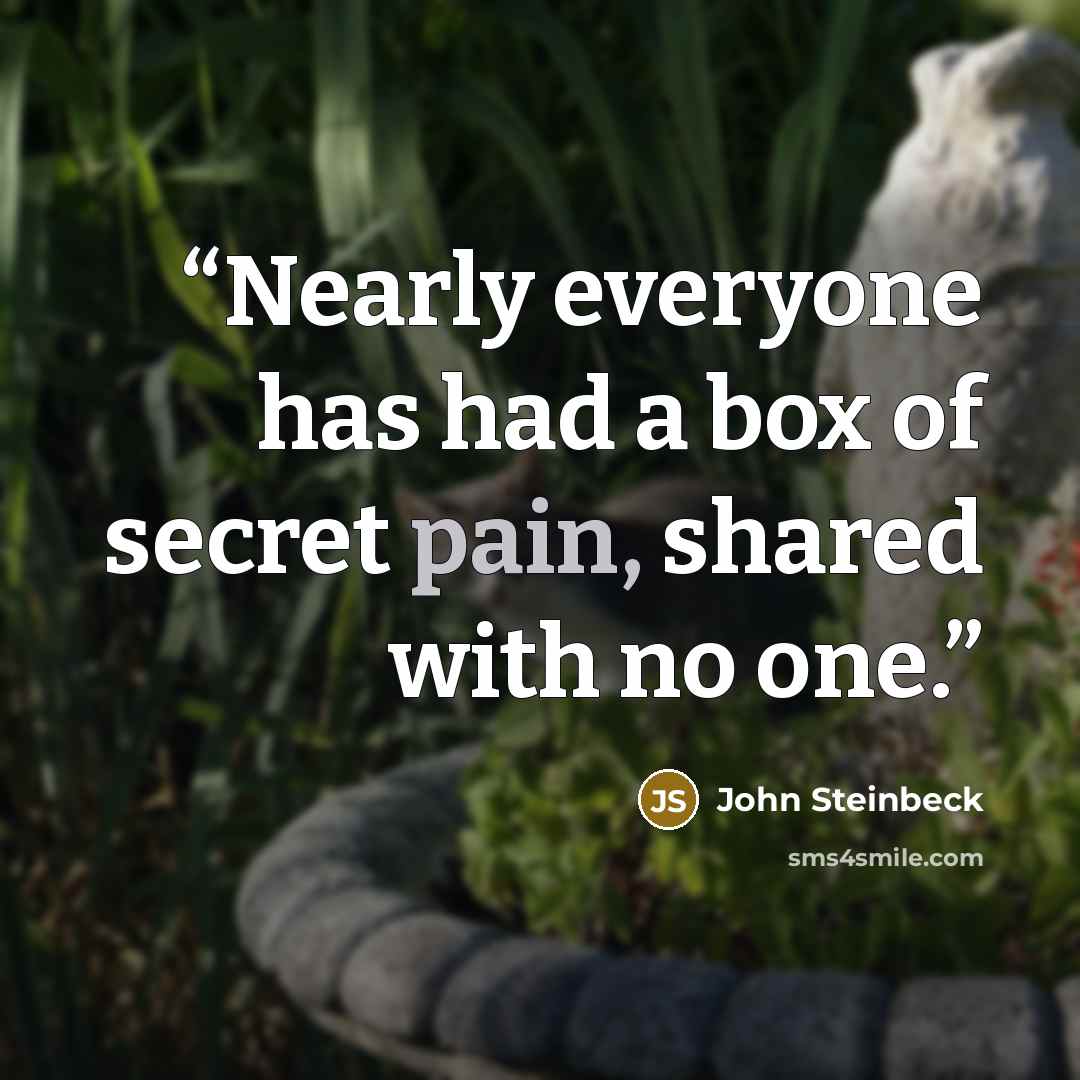 “Nearly everyone has had a box of secret pain, shared with no one.” quote by John Steinbeck