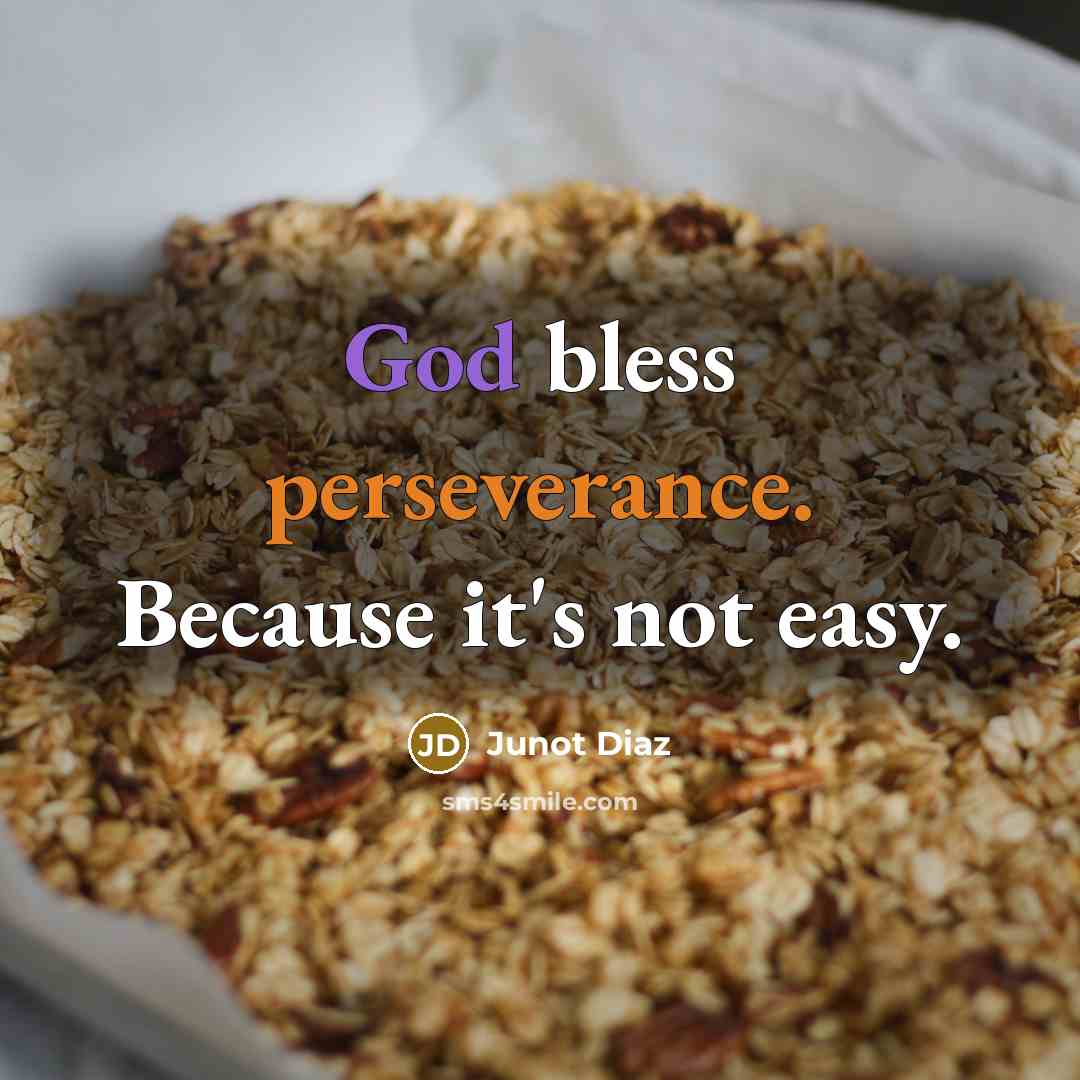 “God bless perseverance. Because it's not easy.” quote by Junot Diaz